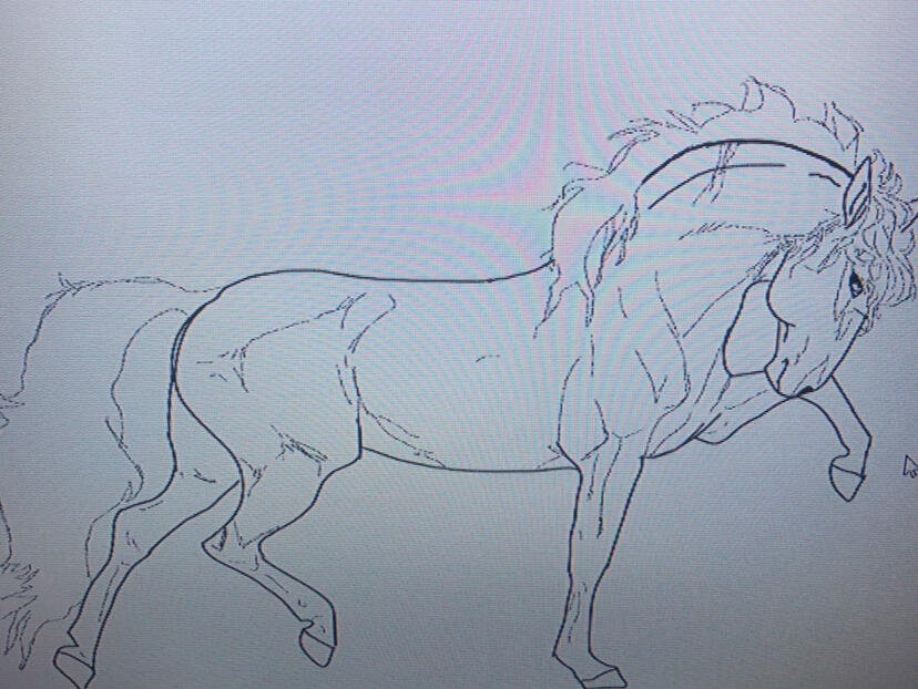 Horse Warmup Piece